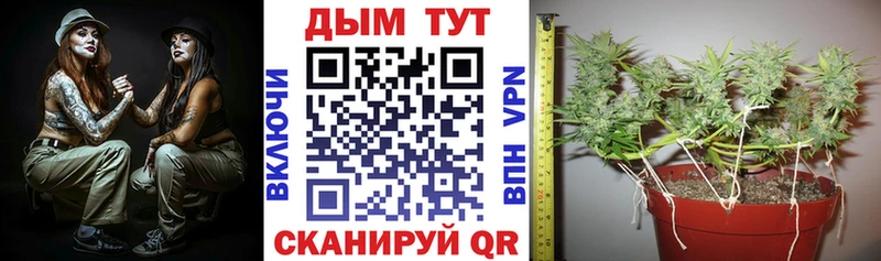 Купить наркотик аптеки Волосово КОКАИН Меф Альфа ПВП omg как войти Амфетамин ГАШИШ Марихуана