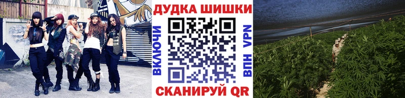Конопля Ganja  Волосово 